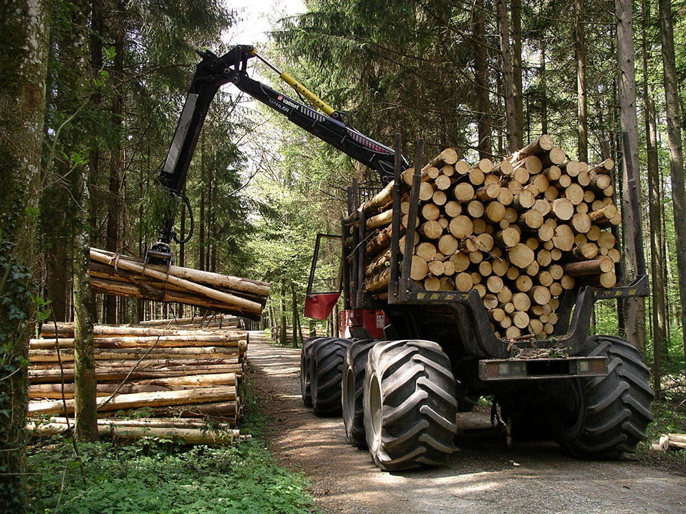 Forwarder beim Holzrücken